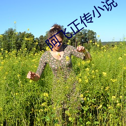 阿飞正传小说