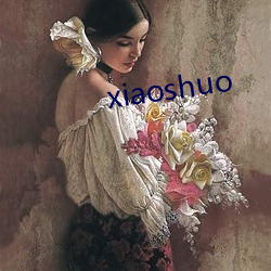 xiaoshuo