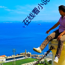 在(在)线(線)看(看)小说(說)