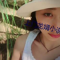 上门龙婿小(小)说
