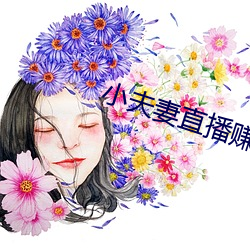 小(xiǎo)夫妻直播(bō)赚钱(qián)