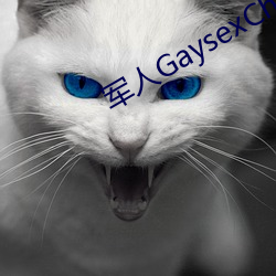 武士GaysexChinaGAy军警 （谋臣武将）