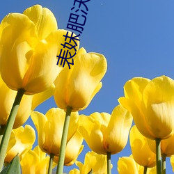 表妹肥沃土(tǔ)地