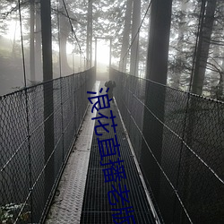 浪花直(直)播(播)老版