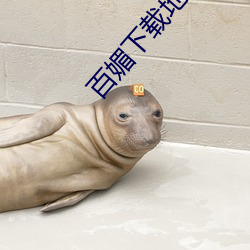 百媚下载地址 （铜浇铁铸）