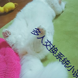 多人交換系統小說