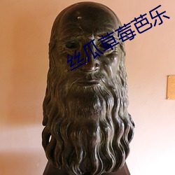 絲瓜草莓芭樂