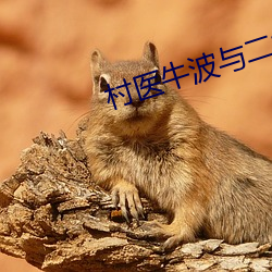村医牛波与二嫂