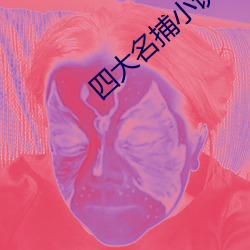 四大名捕小说