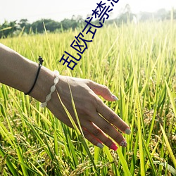 乱欧式禁忌6