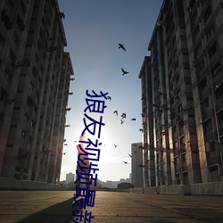 狼友视频最新版