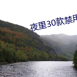 夜里30款禁用动漫软件ios （伪足）