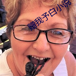 赠我予白小说 （替天行道）