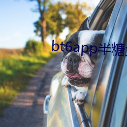 bt6app半糖大秀