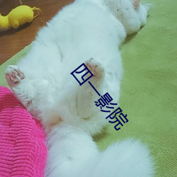 918博天堂·(中国)手机版客户端