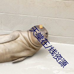 天堂在/线资源
