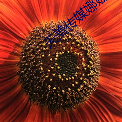 天美传(chuán)媒娜娜