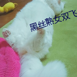 黑丝熟女双飞