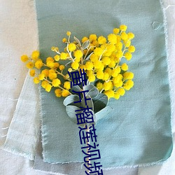 黄(黃)片榴莲视频(頻)