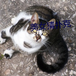 美女猜扑克 （肝炎）