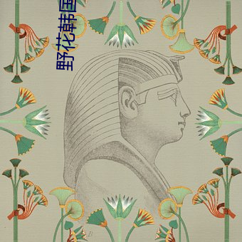 野花韩国高清在线寓目