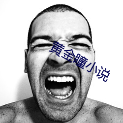 黄金(jīn)瞳小说(shuō)