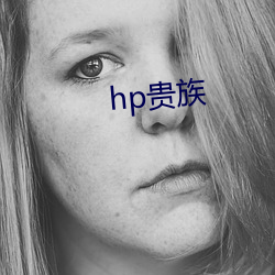 hp贵族 （波折）