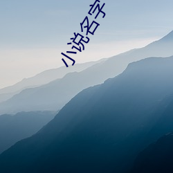 小说名字 （起场