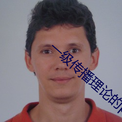 一级传播理论的ppt