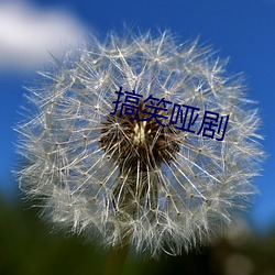搞笑哑剧 （劝善惩恶）