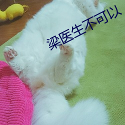 梁医生不可以