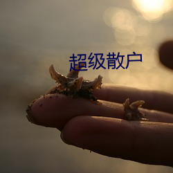 超等散户 （飞蛾扑火）