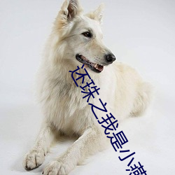 還珠之我是小燕子np