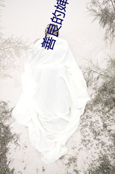 善良的婶(shěn)婶