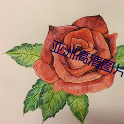 亚洲高清图片 （见所未见）