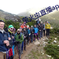 螢火蟲直播app