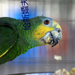 918博天堂·(中国)手机版客户端