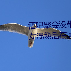 酒吧聚会没(沒)带钱包的(的)性感漂(漂)亮美女混熟后(後)在厕所(所)啪(啪)啪