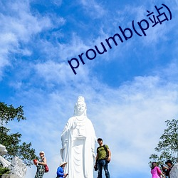 proumb(p站) （银团贷款）