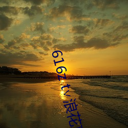 616z t∨浪花直播