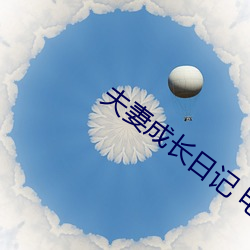 夫妻成长日(日)记 电影(影)