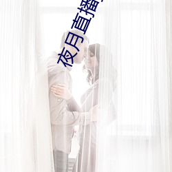 夜(yè)月直播yy66t