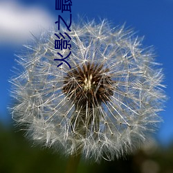 火影之最强 不可终日）
