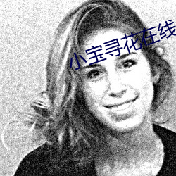小宝寻花在线