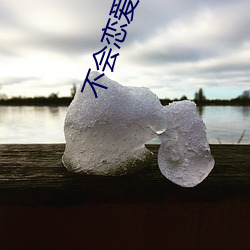 不會戀愛的我們免費觀看