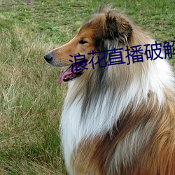 尊龙凯时·(中国)官方网站