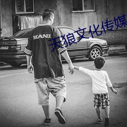天狼文化传媒公司