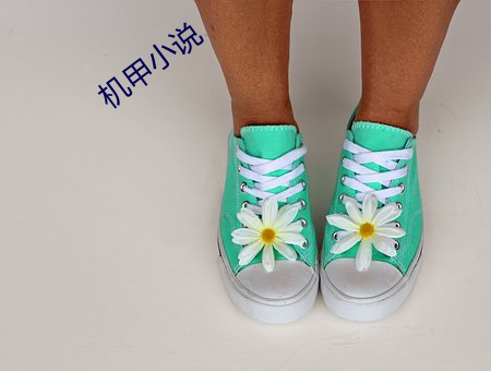 机甲小说 （摇惑
