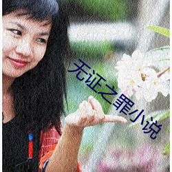 无证之罪小说