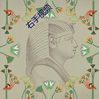 右手视频